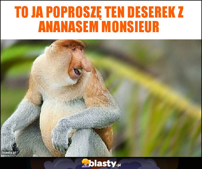 to ja poproszę ten deserek z ananasem monsieur to ja poproszę ten deserek z ananasem monsieur