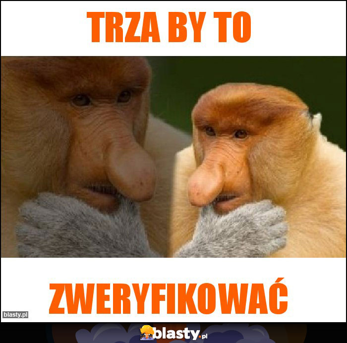 Trza by to Trza by to