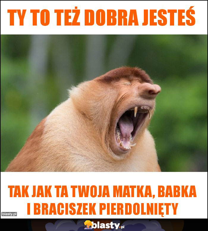 TY TO TEŻ DOBRA JESTEŚ TY TO TEŻ DOBRA JESTEŚ