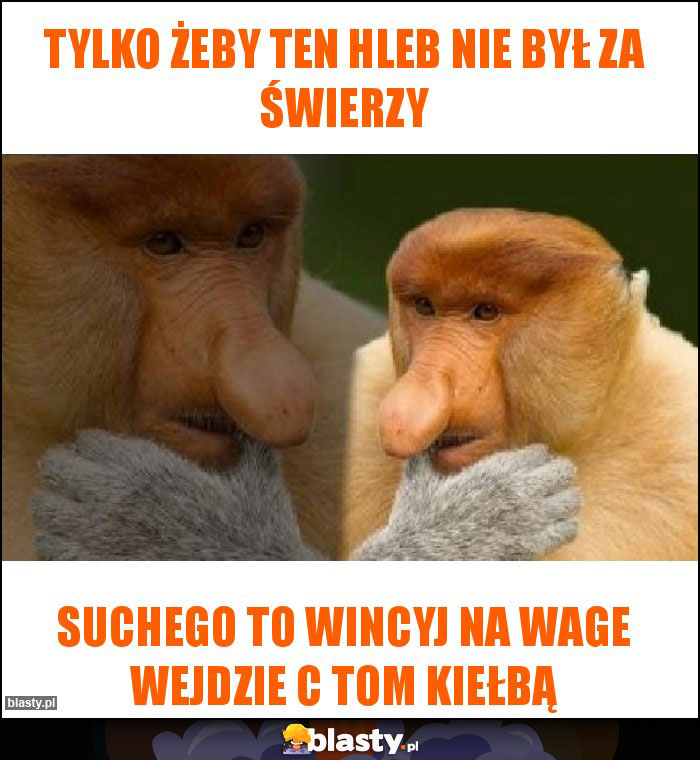 Tylko żeby ten hleb nie był za świerzy