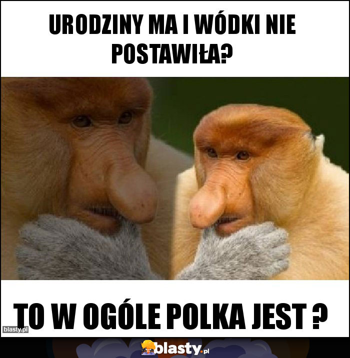 Urodziny ma i wódki nie postawiła? Urodziny ma i wódki nie postawiła?