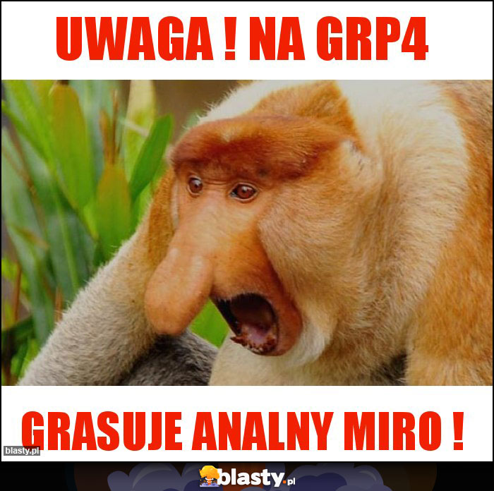 uwaga ! na grp4 uwaga ! na grp4
