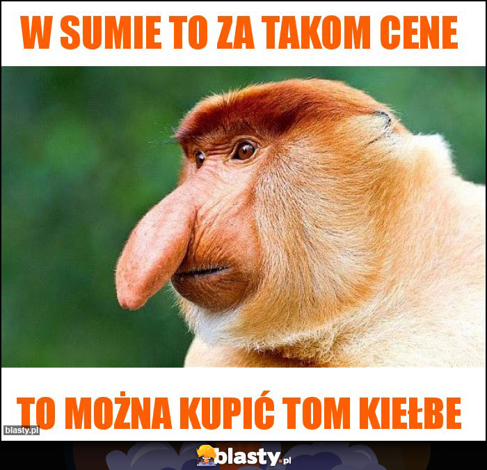 W sumie to za takom cene