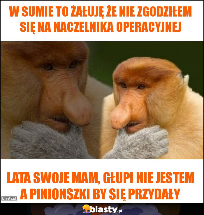 W sumie to żałuję że nie zgodziłem się na naczelnika operacyjnej W sumie to żałuję że nie zgodziłem się na naczelnika operacyjnej