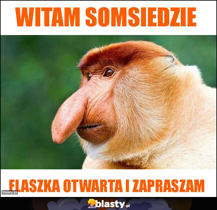 witam somsiedzie witam somsiedzie