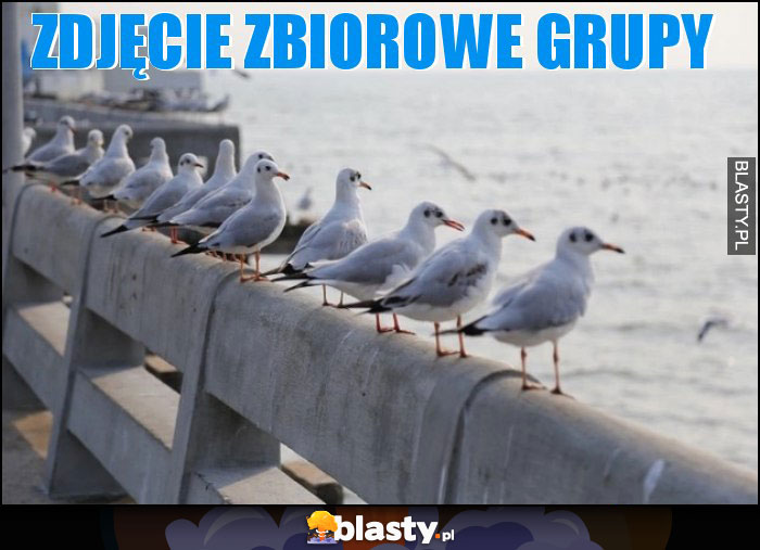 Zdjęcie zbiorowe grupy Zdjęcie zbiorowe grupy