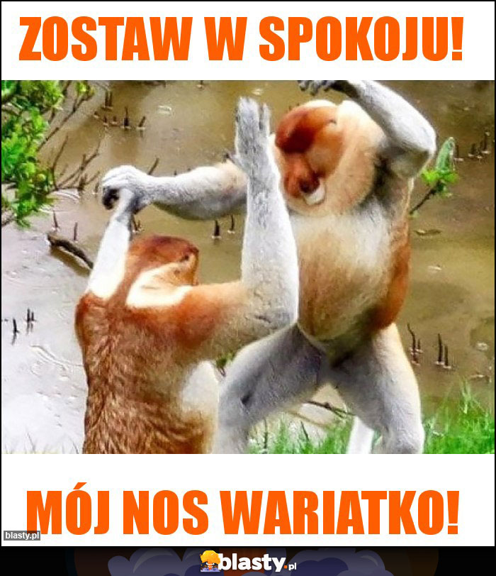 Zostaw w spokoju! Zostaw w spokoju!