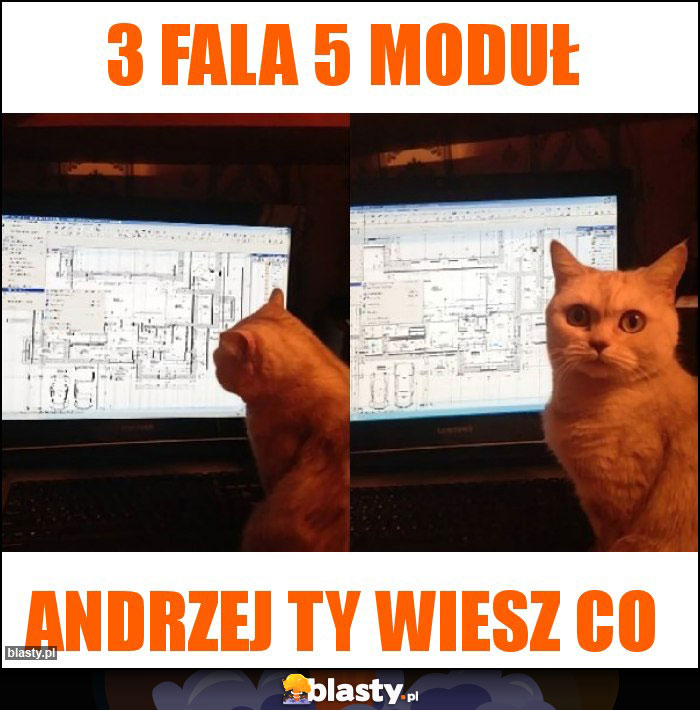 3 fala 5 moduł 3 fala 5 moduł
