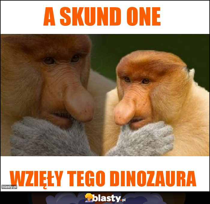 A skund one A skund one
