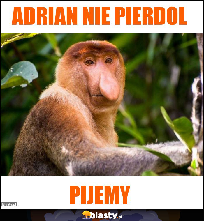 Adrian nie pierdol