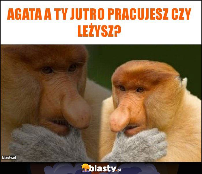 Agata a ty jutro pracujesz czy leżysz? Agata a ty jutro pracujesz czy leżysz?