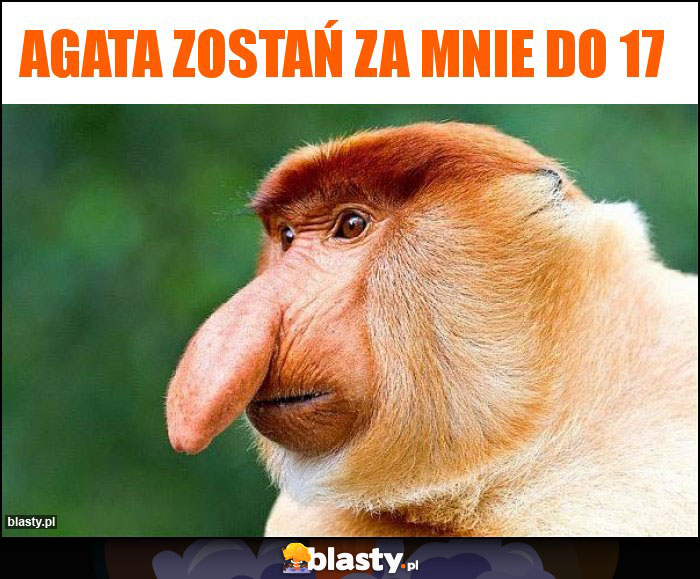 Agata zostań za mnie do 17 Agata zostań za mnie do 17