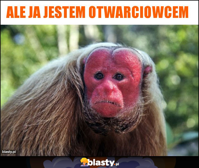 Ale ja jestem otwarciowcem Ale ja jestem otwarciowcem