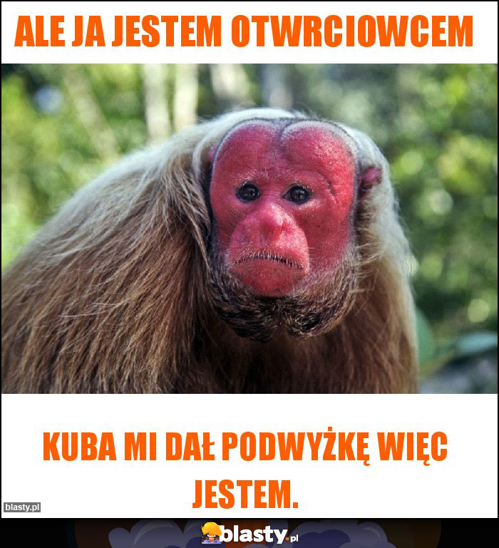 Ale ja jestem otwrciowcem Ale ja jestem otwrciowcem