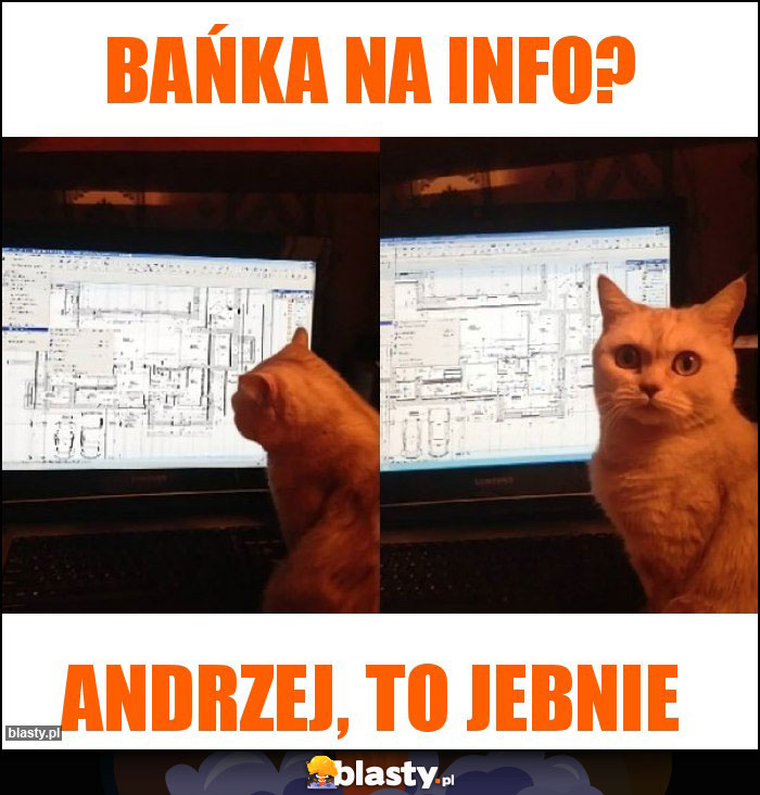 Bańka na info? Bańka na info?