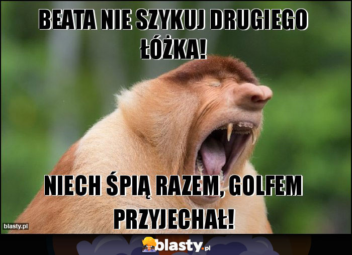 Beata nie szykuj drugiego łóżka! Beata nie szykuj drugiego łóżka!