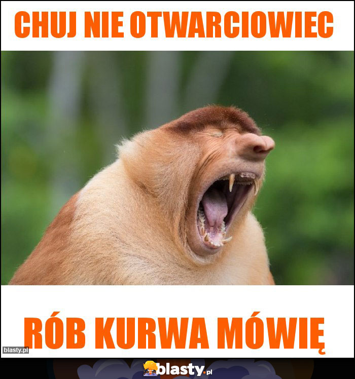 Chuj nie otwarciowiec Chuj nie otwarciowiec