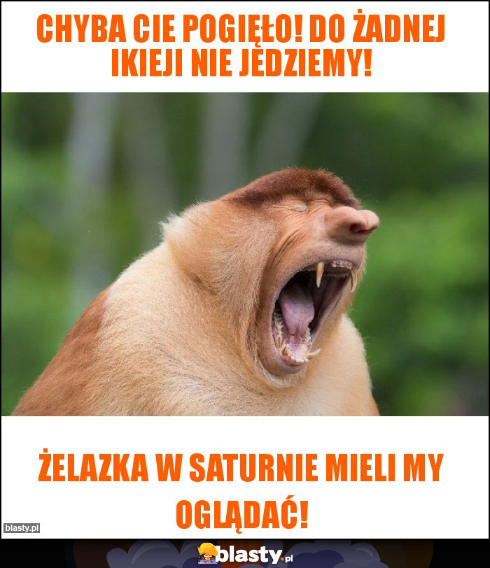 Chyba cie pogięło! Do żadnej Ikieji nie jedziemy! Chyba cie pogięło! Do żadnej Ikieji nie jedziemy!