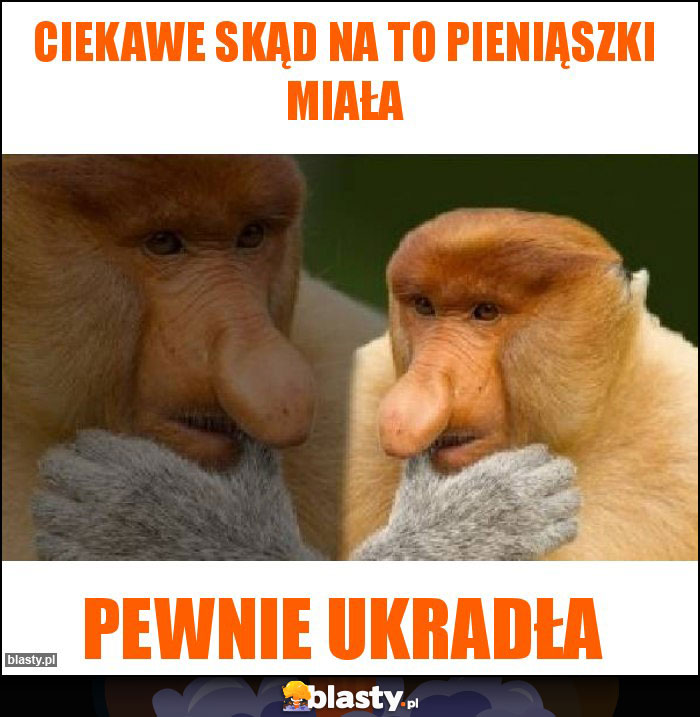 Ciekawe skąd na to pieniąszki miała Ciekawe skąd na to pieniąszki miała