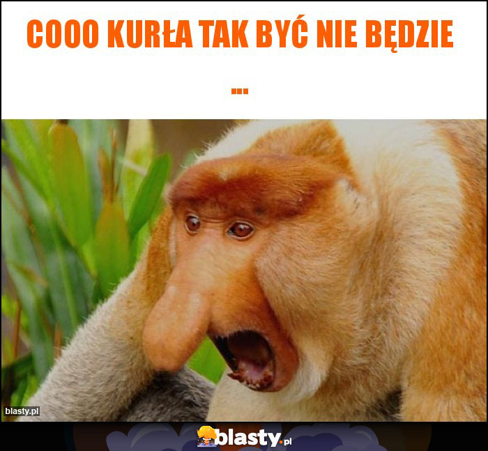 COoo kurła tak być nie będzie ... COoo kurła tak być nie będzie ...