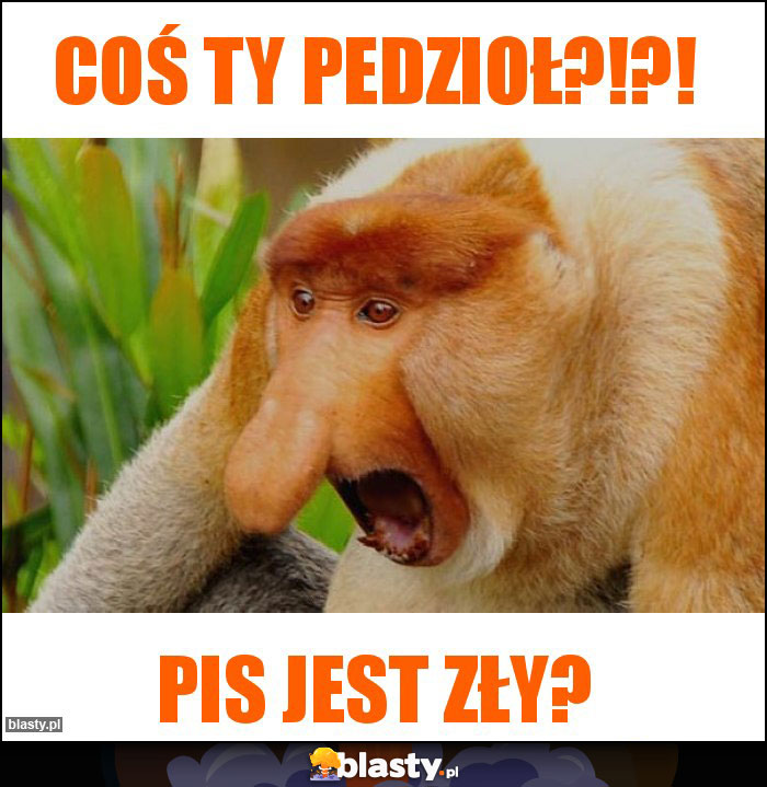 Coś ty pedzioł?!?! Coś ty pedzioł?!?!