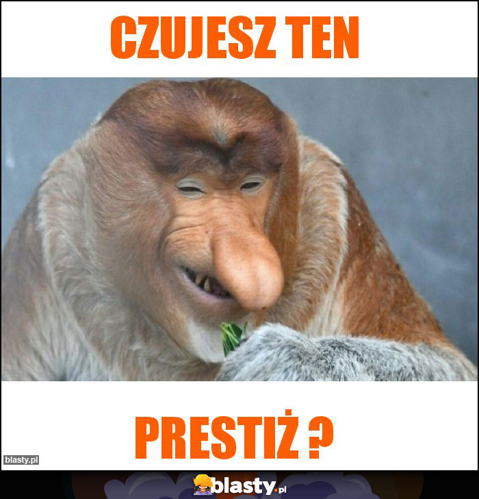Czujesz ten Czujesz ten