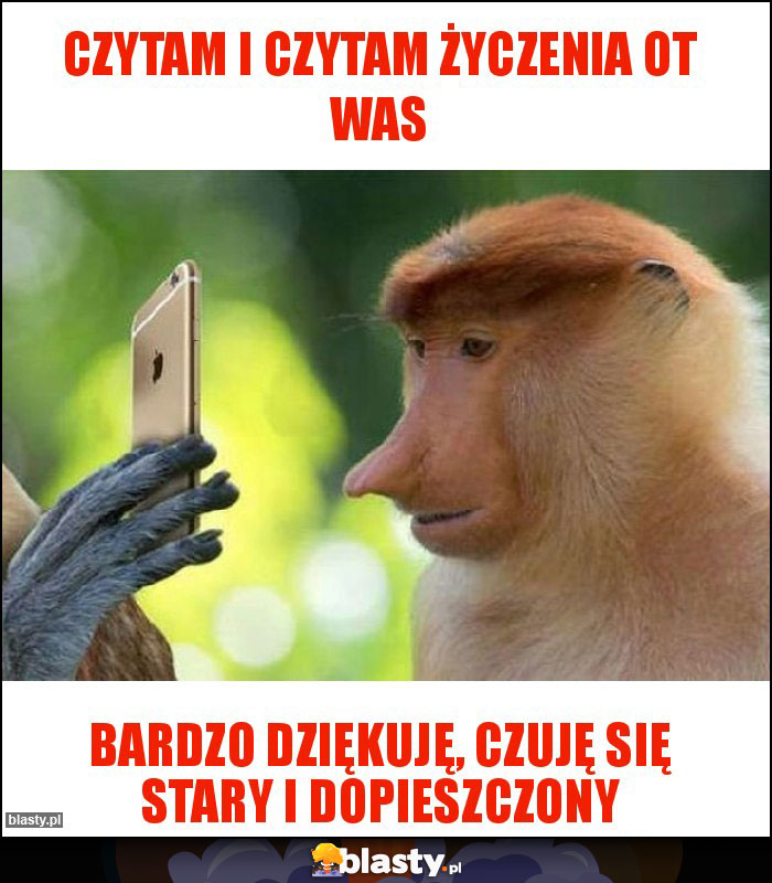 Czytam i czytam życzenia ot Was Czytam i czytam życzenia ot Was