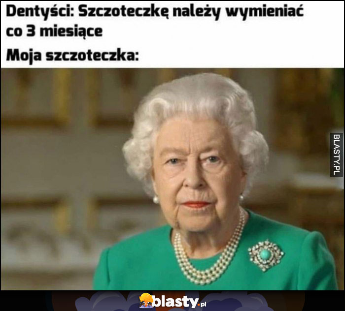 Dentyści: szczoteczkę należy wymieniać co 3 miesiące, moja szczoteczka: królowa Elżbieta