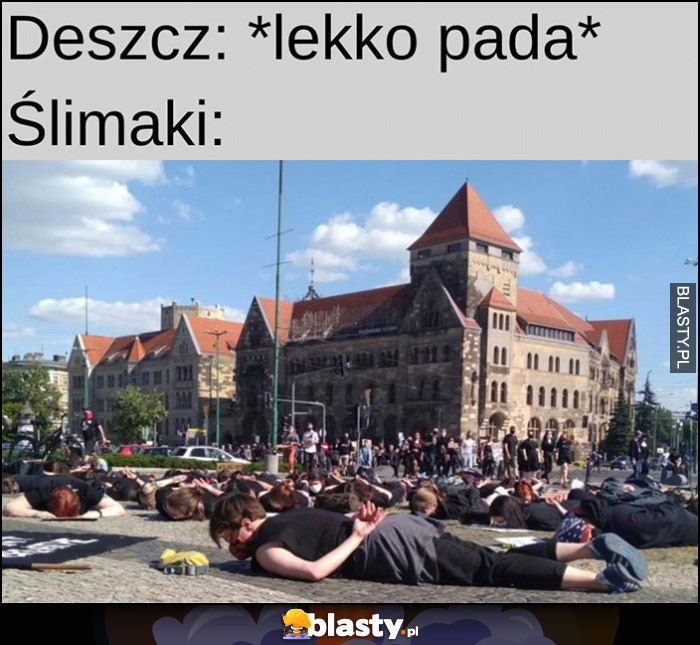 Deszcz: lekko pada, ślimaki: leżą wychodzą pełzają protestujący ludzie leżą na ziemi