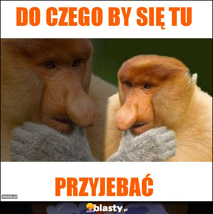Do czego by się tu Do czego by się tu