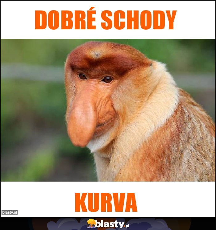 Dobré schody