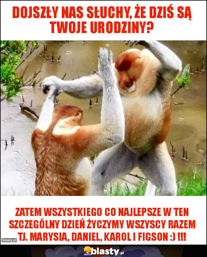 Dojszły nas słuchy, że dziś są Twoje urodziny? Dojszły nas słuchy, że dziś są Twoje urodziny?