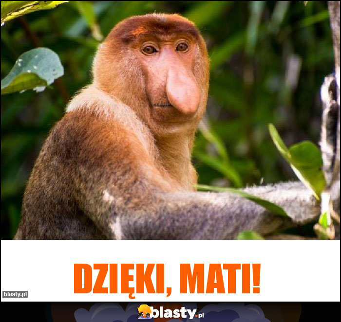 Dzięki, Mati! Dzięki, Mati!