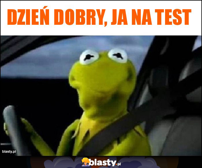 Dzień dobry, ja na test Dzień dobry, ja na test