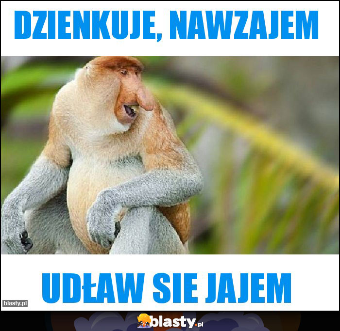Dzienkuje, Nawzajem Dzienkuje, Nawzajem