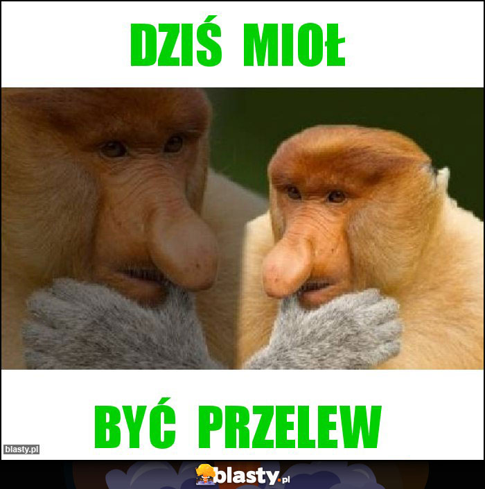 Dziś  mioł