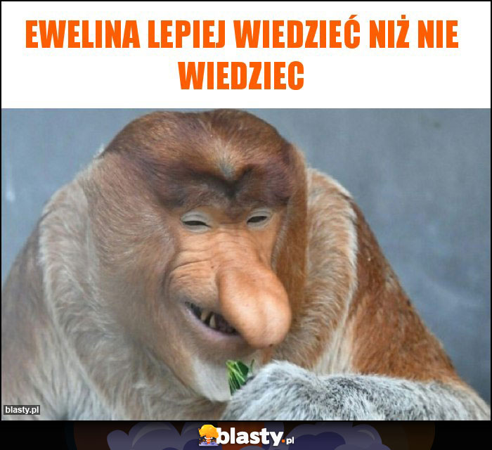 Ewelina lepiej wiedzieć niż nie wiedziec Ewelina lepiej wiedzieć niż nie wiedziec