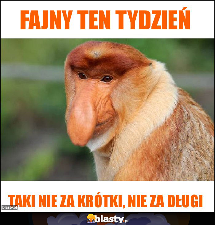 fajny ten tydzień fajny ten tydzień