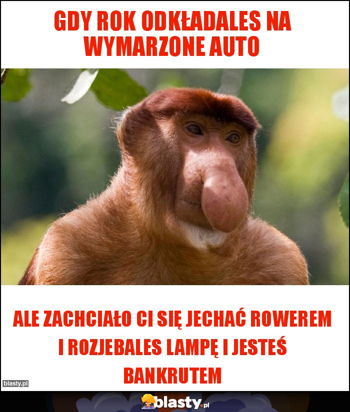 Gdy rok odkładales na wymarzone auto Gdy rok odkładales na wymarzone auto