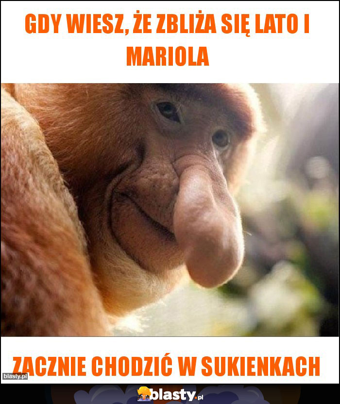 Gdy wiesz, że zbliża się lato i Mariola Gdy wiesz, że zbliża się lato i Mariola