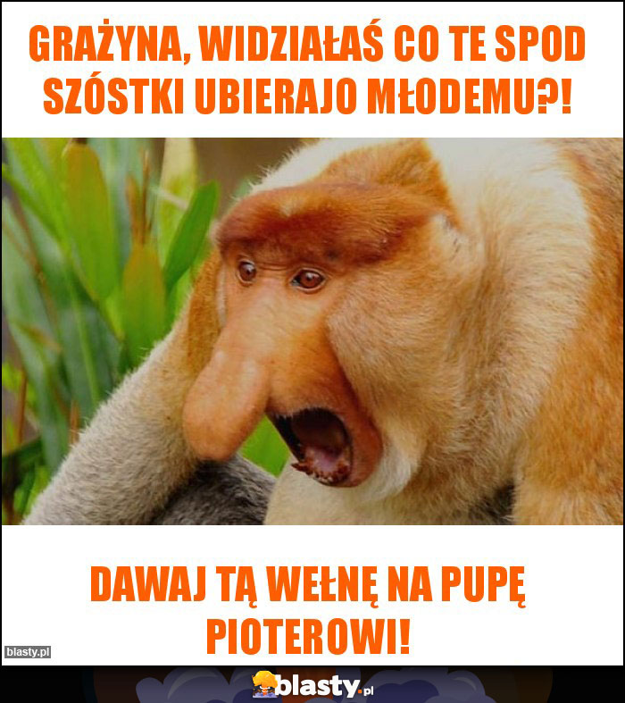 Grażyna, widziałaś co te spod szóstki ubierajo młodemu?! Grażyna, widziałaś co te spod szóstki ubierajo młodemu?!