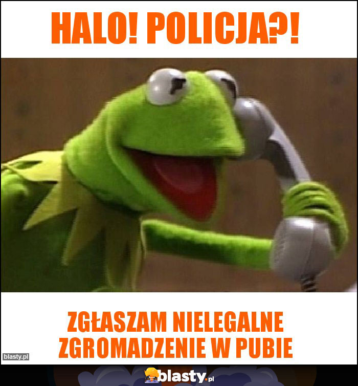HALO! Policja?! HALO! Policja?!