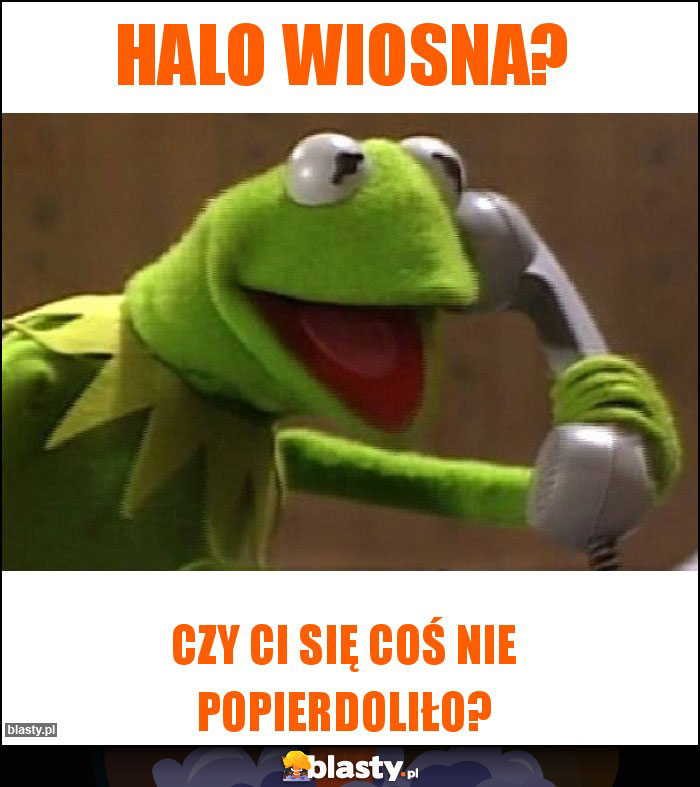 Halo wiosna? Halo wiosna?