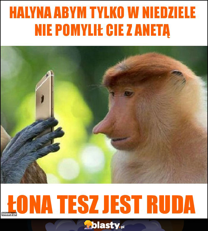 Halyna abym tylko w niedziele nie pomylił cie z Anetą