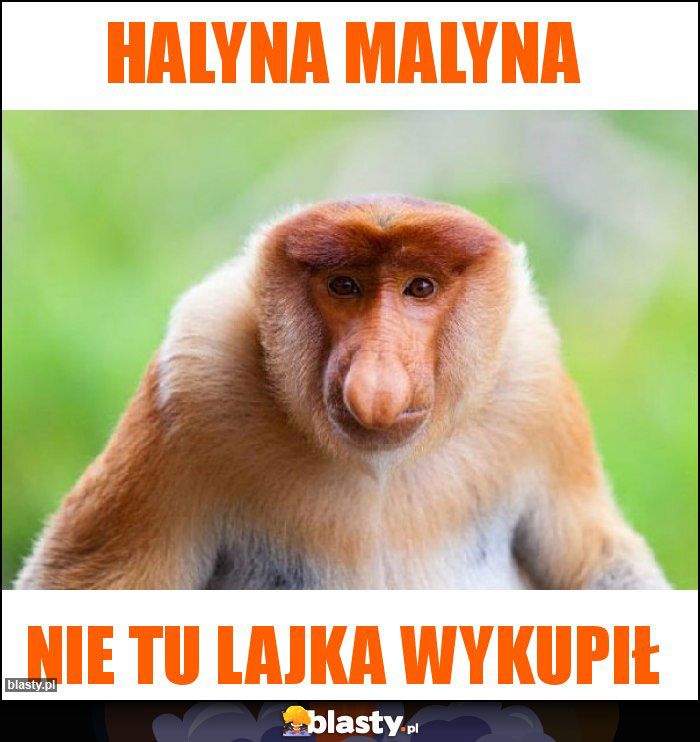Halyna malyna Halyna malyna