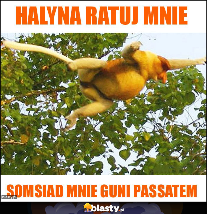 Halyna ratuj mnie Halyna ratuj mnie