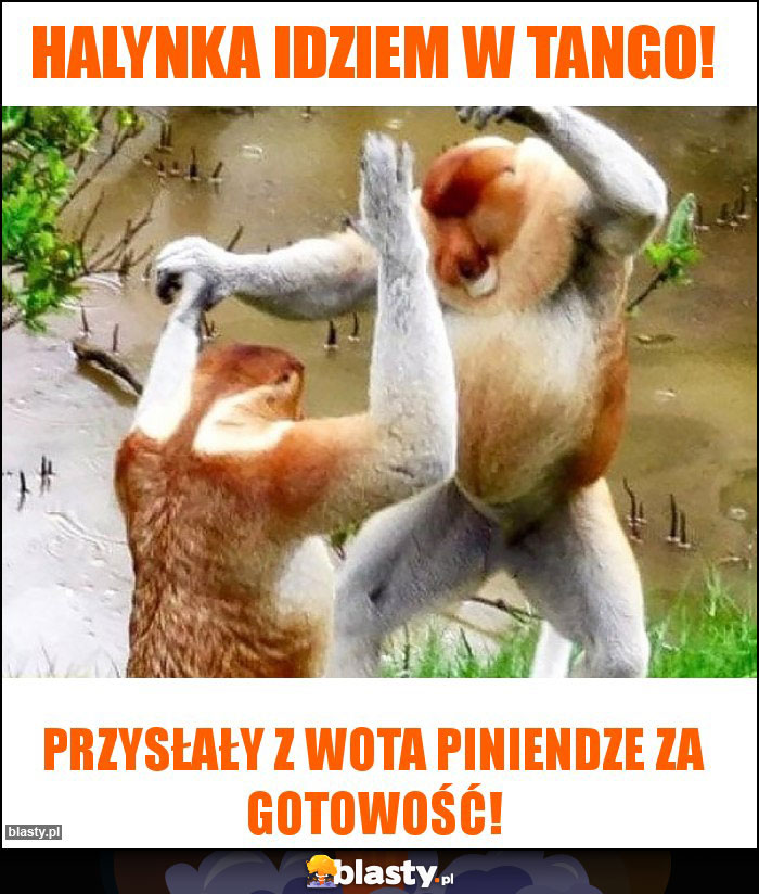 Halynka idziem w tango! Halynka idziem w tango!