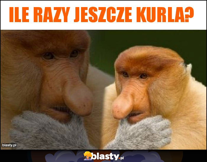 Ile razy jeszcze kurla? Ile razy jeszcze kurla?