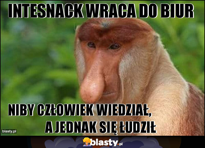 Intesnack wraca do biur Intesnack wraca do biur