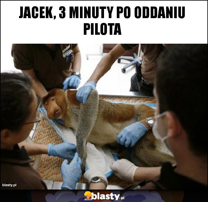 Jacek, 3 minuty po oddaniu pilota Jacek, 3 minuty po oddaniu pilota